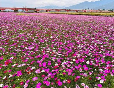 我們於112/4/1中午12:00開放暑假訂房哦